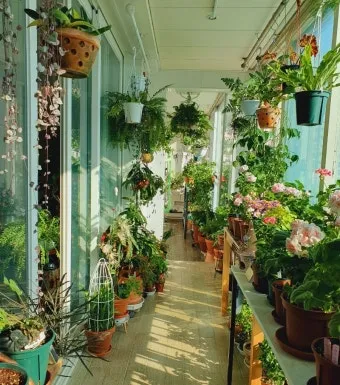 베란다정원 키우기 바람차단 햇빛차광 물주기 여름철 관리 요령_48