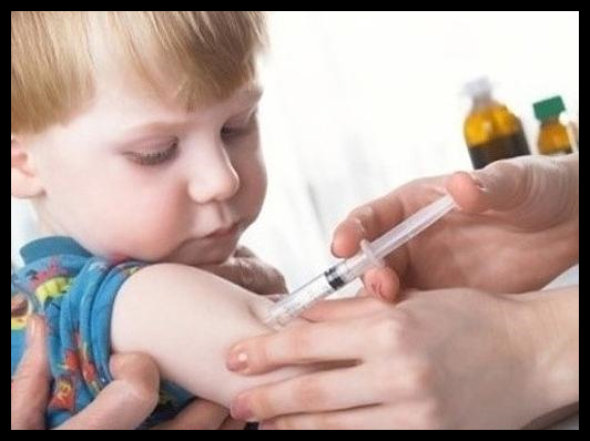 폐렴 예방접종 가격 시기