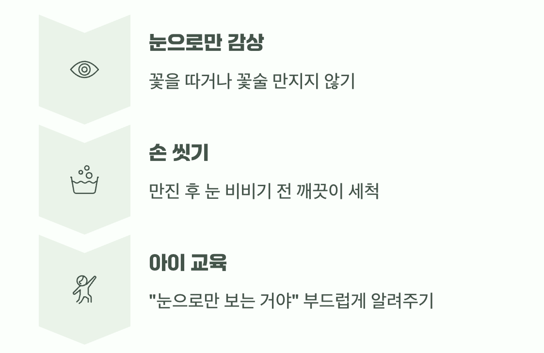 아름다움을 안전하게 즐기는 법