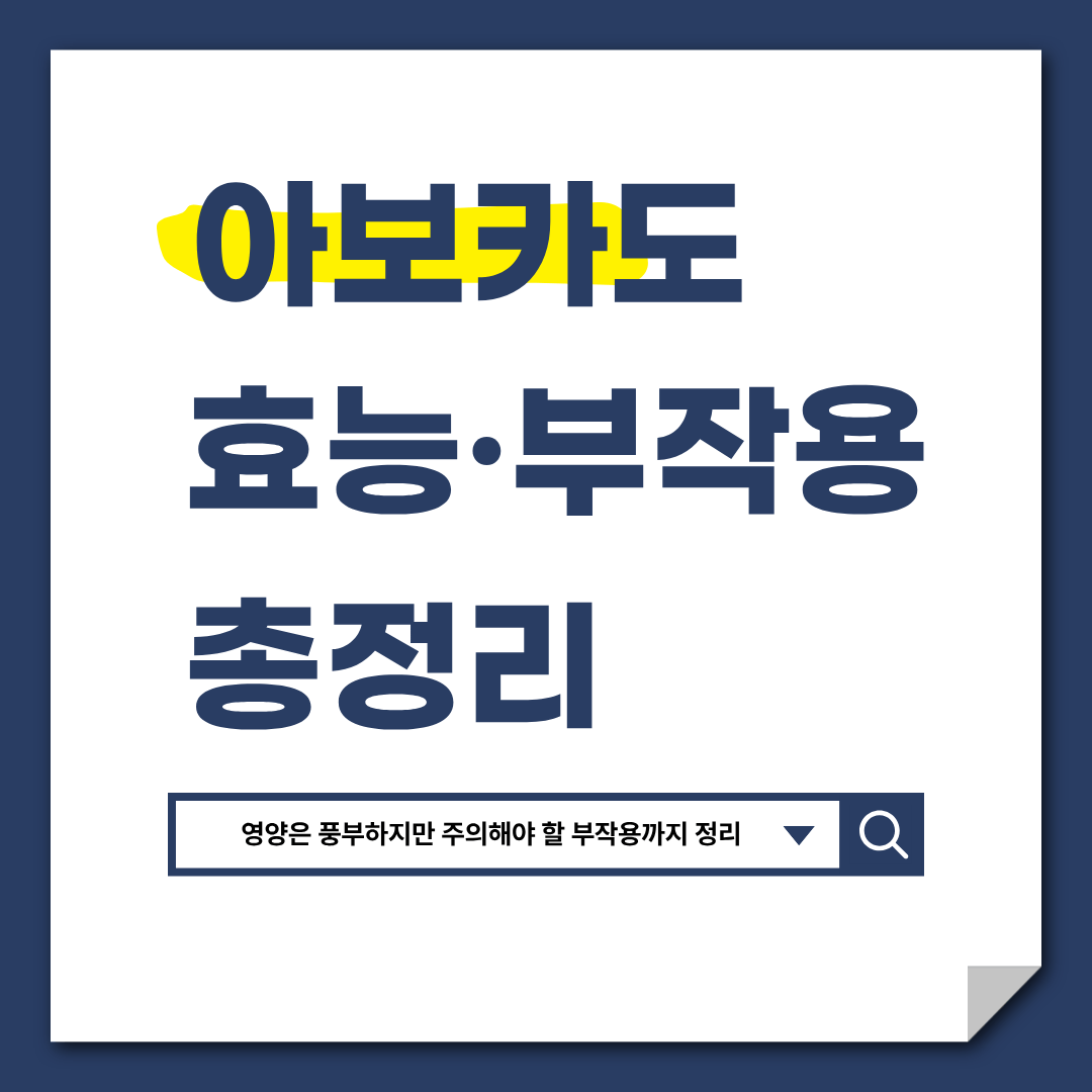 아보카도 효능 부작용