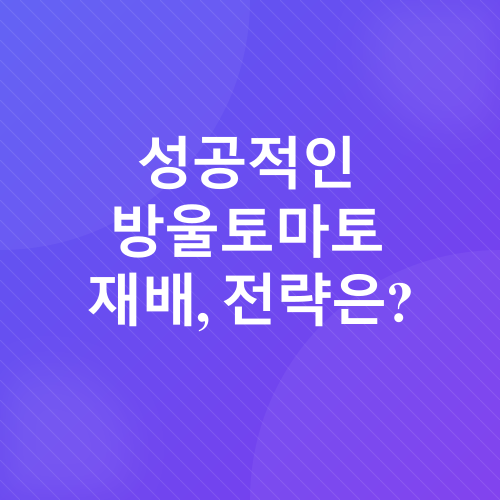 방울토마토 기르기_3