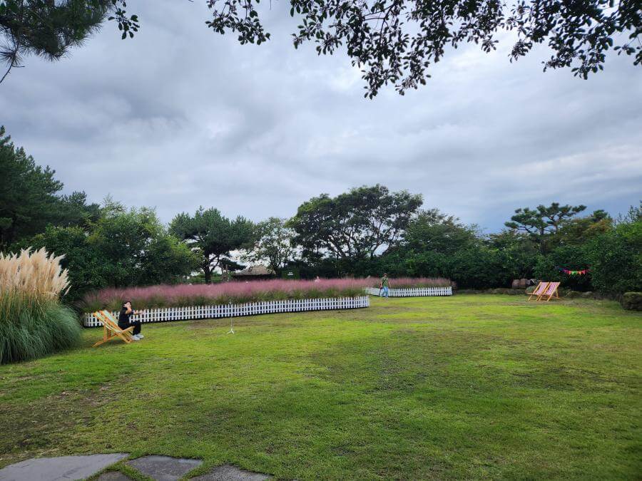 휴애리핑크뮬리축제