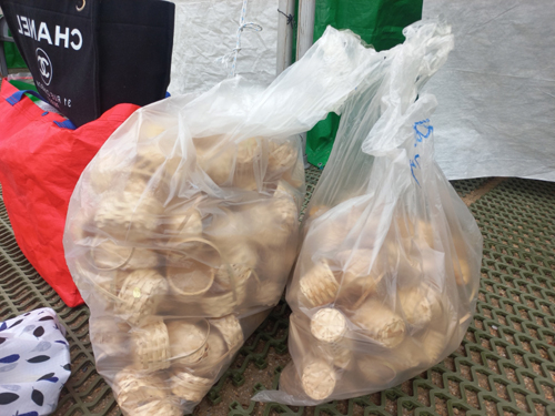 영등포 여의도 봄꽃축제