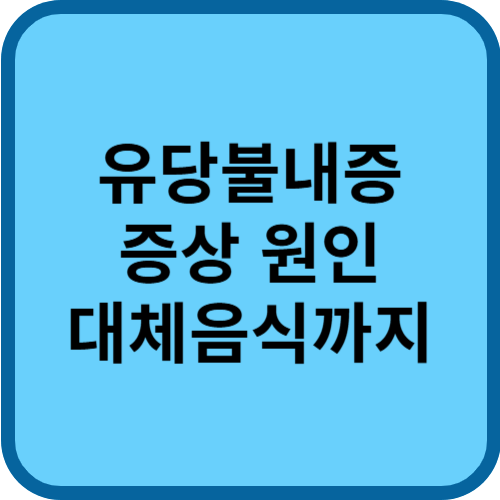 유당불내증 증상 원인 대체음식