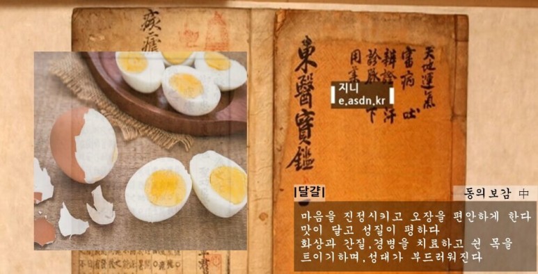 계란(달걀)효능 13가지와 부작용 총정리...음식건강이야기 아홉번째