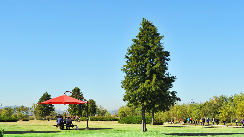 부산 삼락생태공원 오토캠핑장 소개