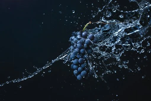 상생소비지원금