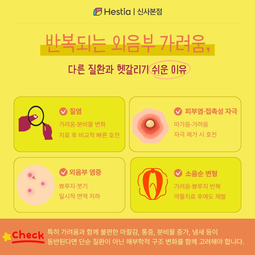 다른 질환과 헷갈리기 쉬운 외음부 가려움
