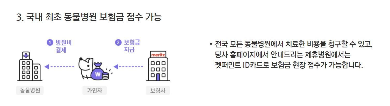 펫보험 메리츠화재 펫퍼민트