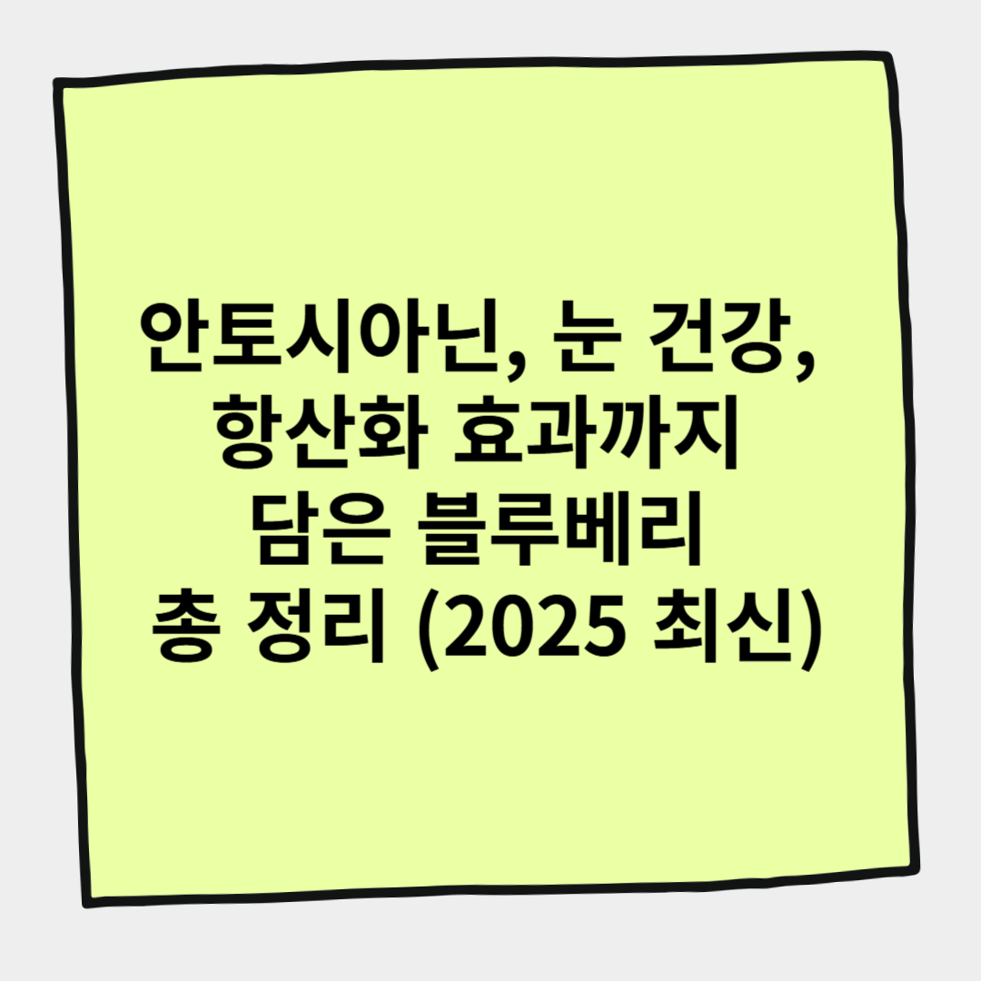 안토시아닌, 눈 건강, 항산화 효과까지 담은 블루베리 총 정리 (2025 최신)