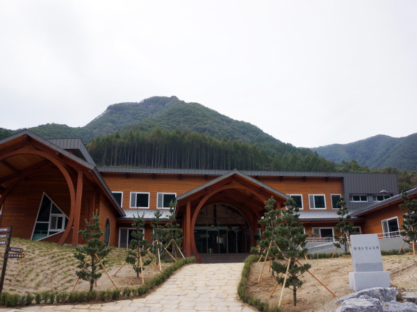 전북 진안 : 진안고원치유숲