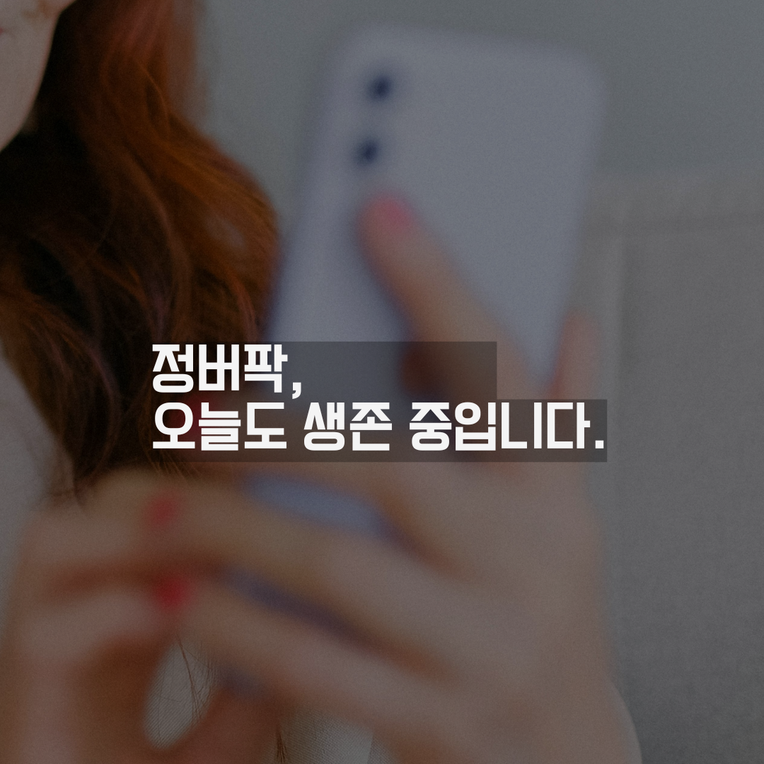 디지털 피로 증후군(Digital Fatigue)