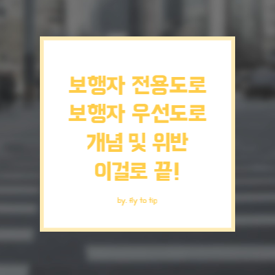 보행자 전용도로와 보행자 우선도로 위반 범칙금