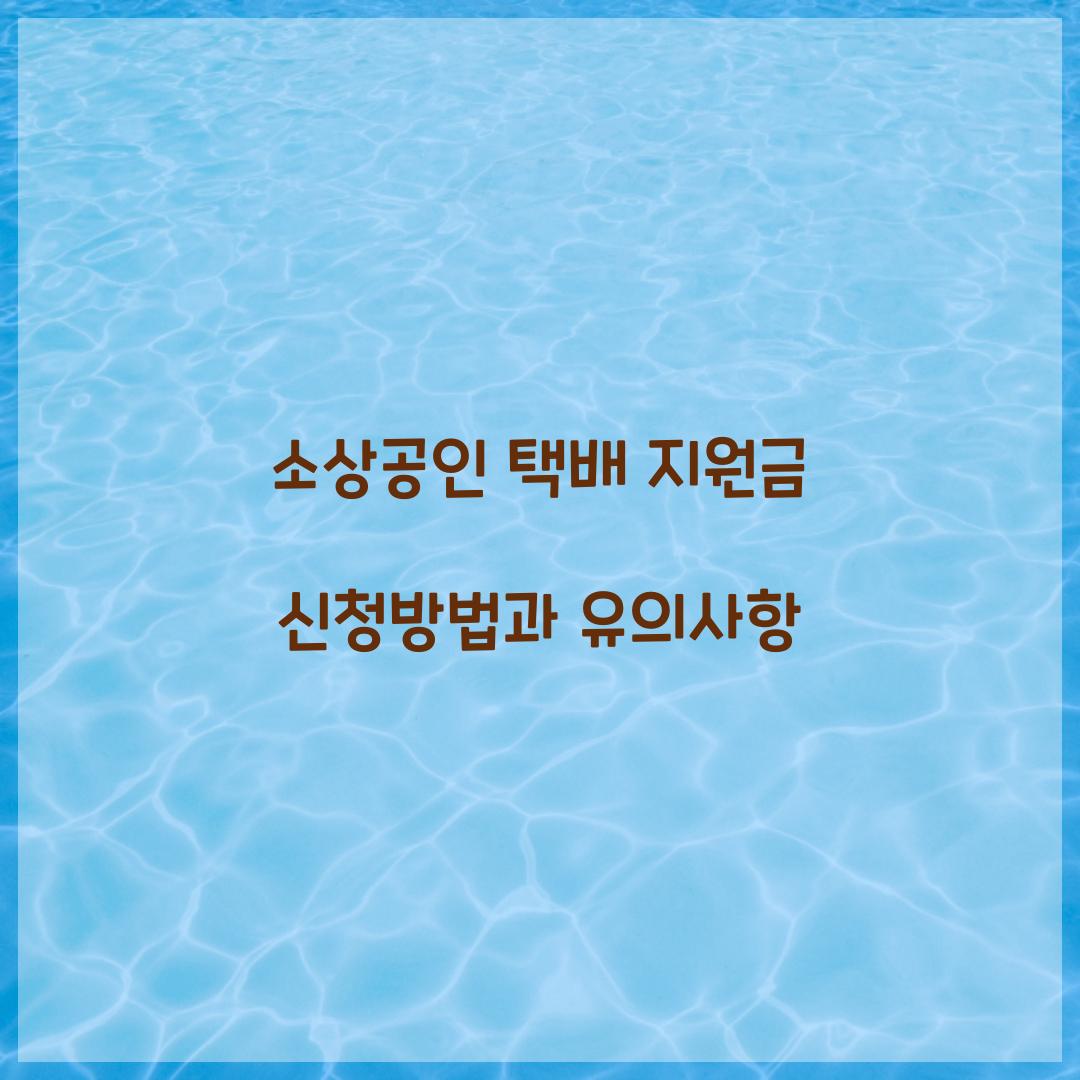 소상공인 택배 지원금