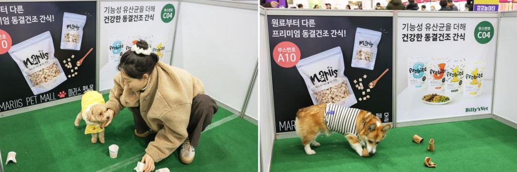 킁킁놀이터소개