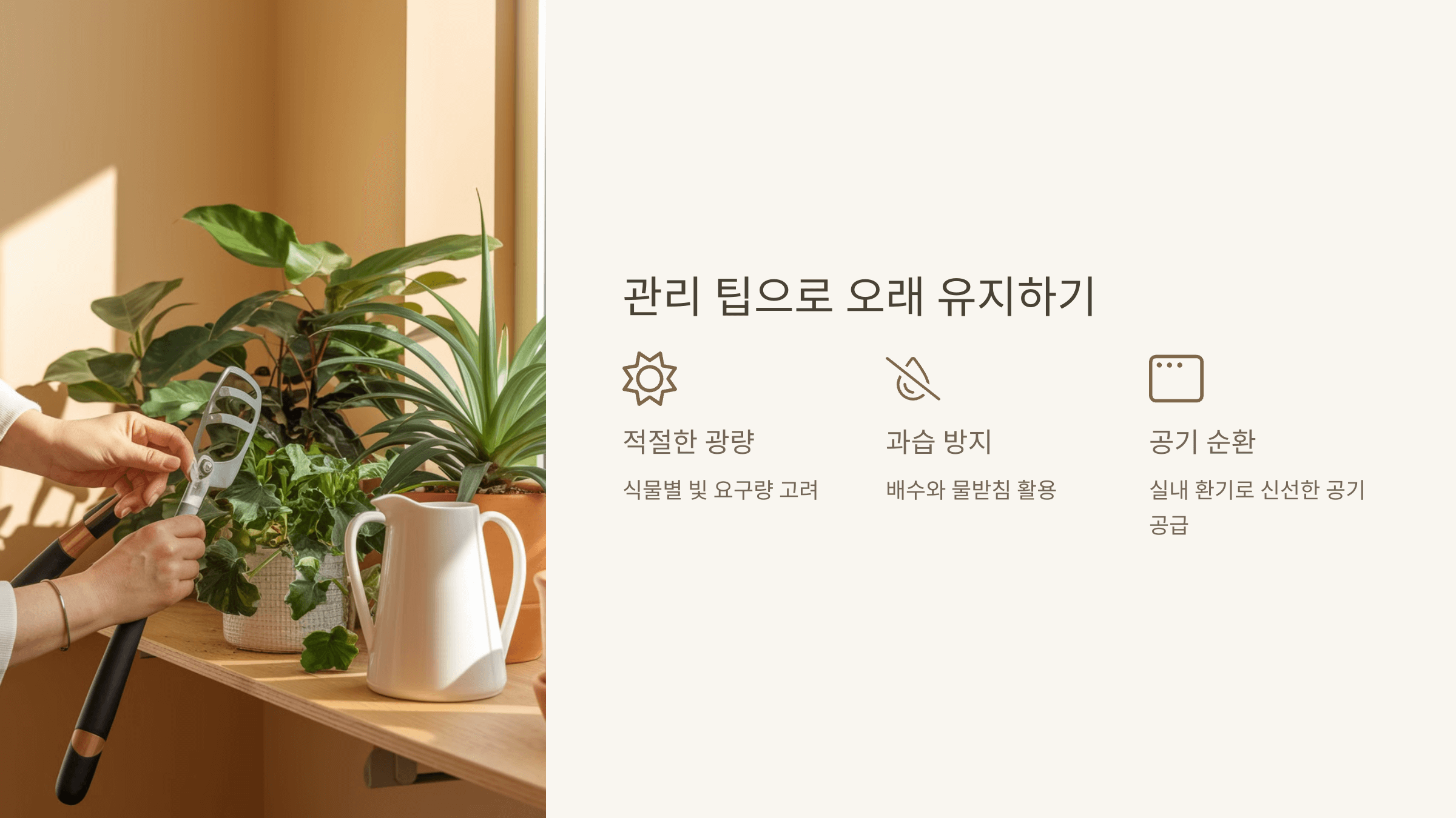 관리 팁으로 오래 유지하기