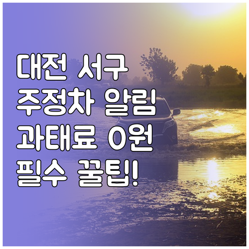 대전 서구 불법 주정차 문자 알림 서..