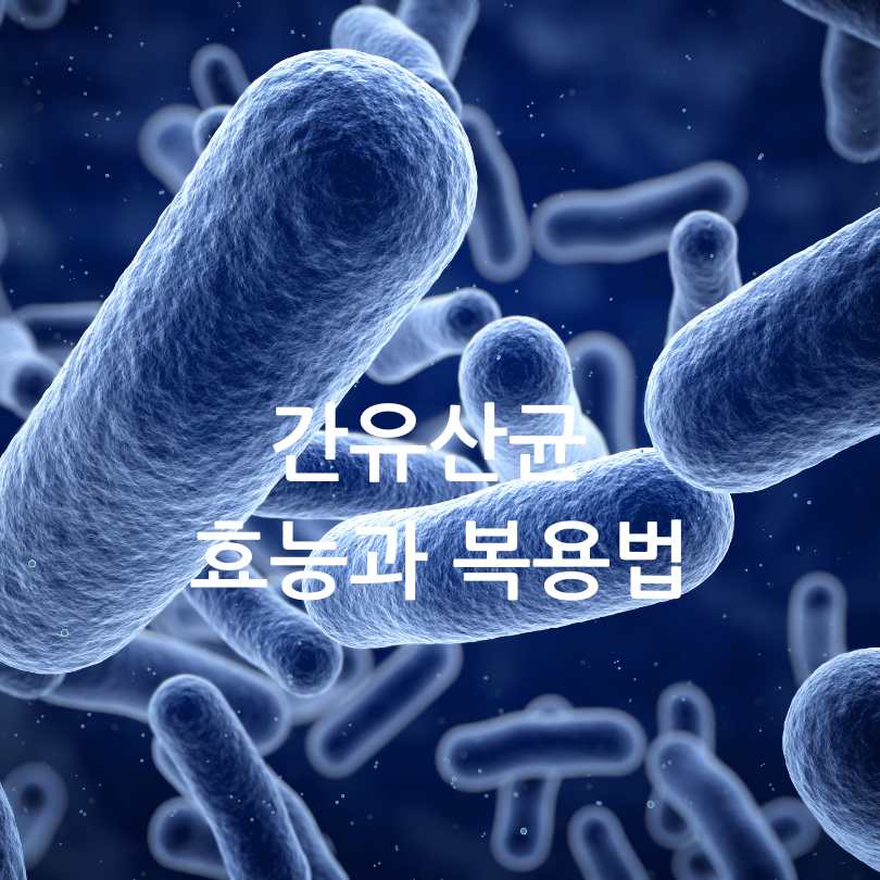 간유산균효능,복용법