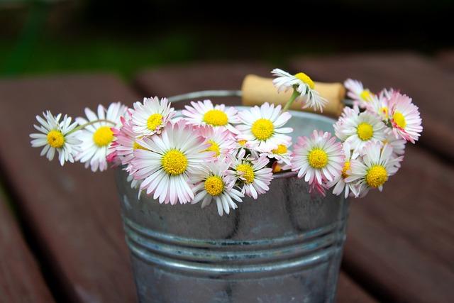 추석 연휴 약국 문여는곳 문여는 약국
