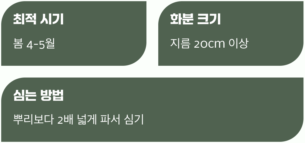성공적인 첫걸음&amp;#44; 옮겨 심기