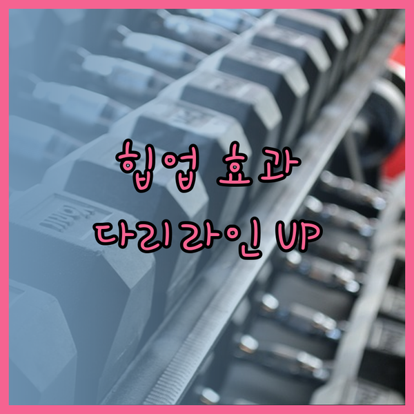 힙업과 다리라인 관리에 효과적인 밴드