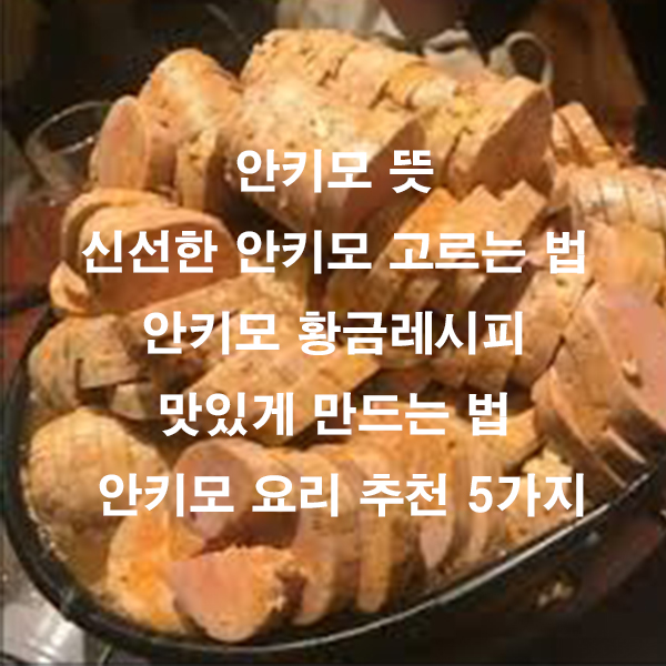 안키모 뜻 신선한 안키모 고르는 법 안키모 황금레시피 맛있게 만드는 법 안키모 요리 추천 5가지