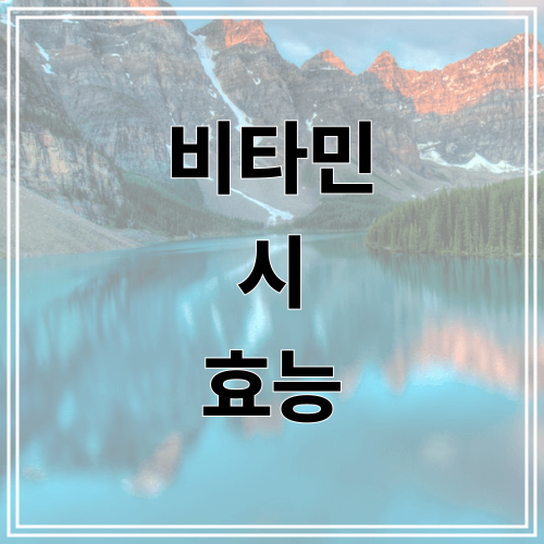 비타민 시 효능