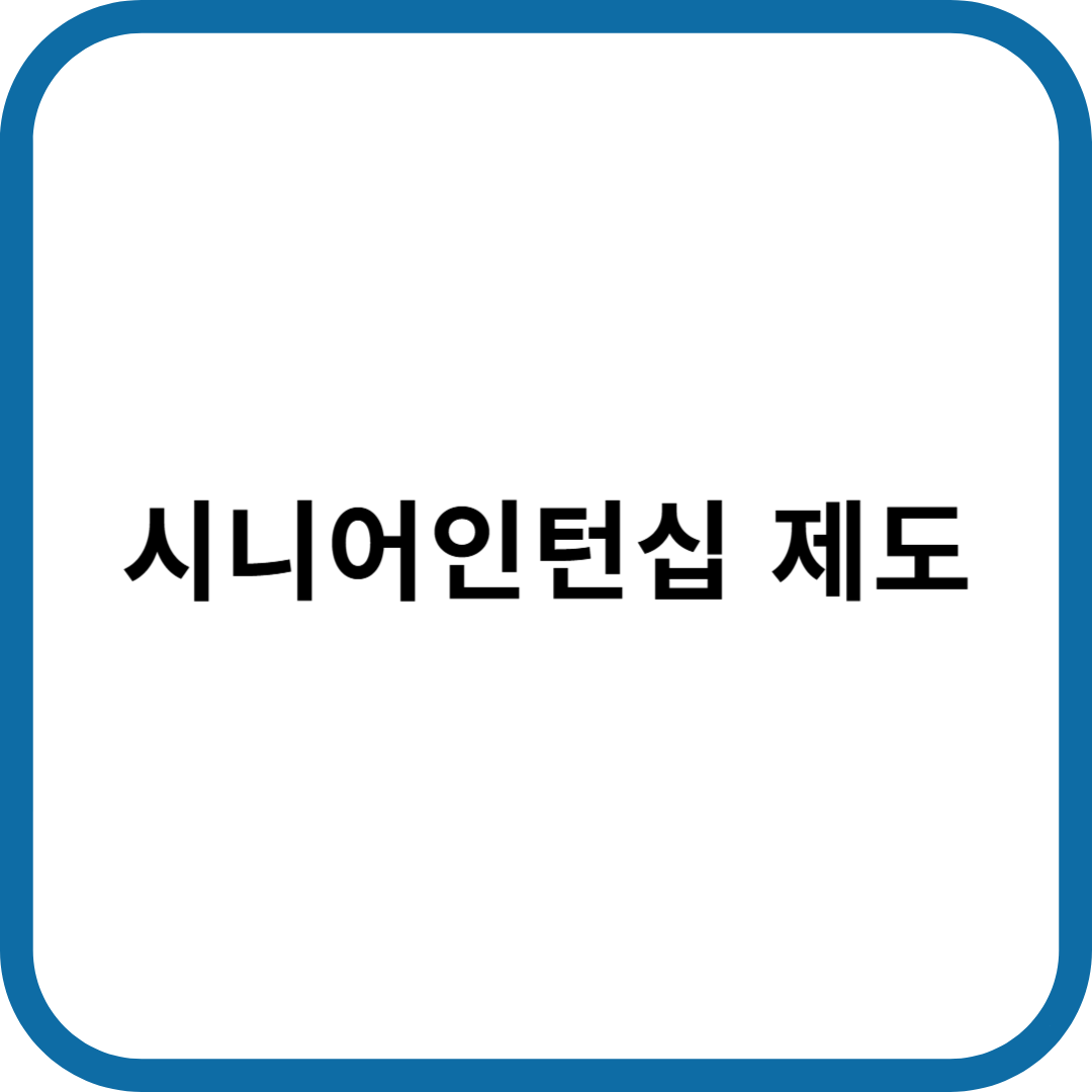 시니어 인턴십