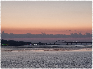 금강하구둑 철새도래지