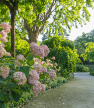 화담숲 예약 입장료 맛집 [모노레일]
