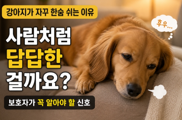 반려견 한숨 쉬는 이유를 설명하는 이미지