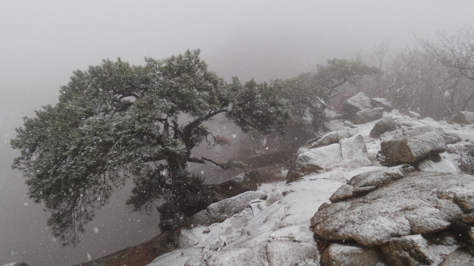 100대 명산 등산하기 여덟번째 파주 감악산(感岳山, 675m)은 경기 서북부를 대표하는 산