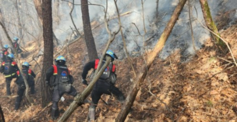 인왕산 산불 98% 진화 소식 및 인왕산 등산코스 둘레길 정보