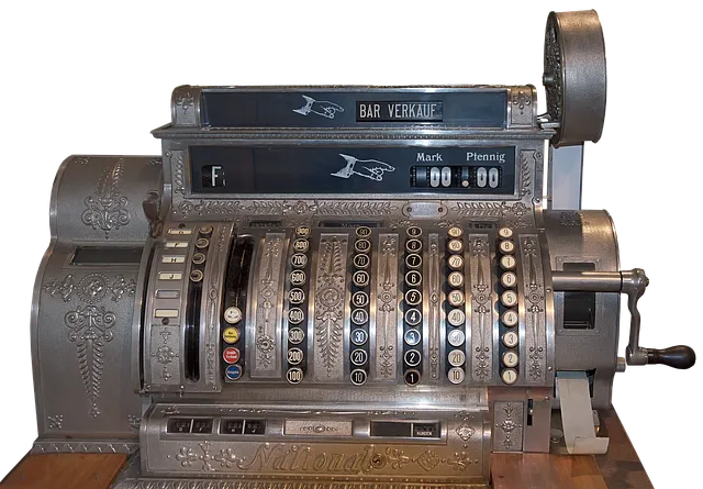 금전수 물주기 과습예방 배수층 만들기 흙선택 시니어도 편한 관리_6