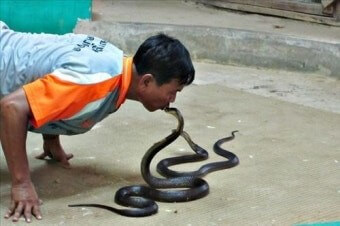 뱀-사육사가-위험하게-뱀과-뽀뽀하는-모습