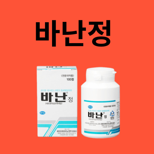 바난정