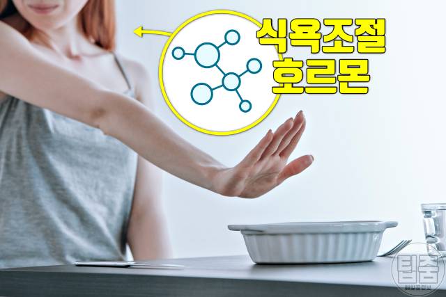 철분 부족 증상 식욕억제