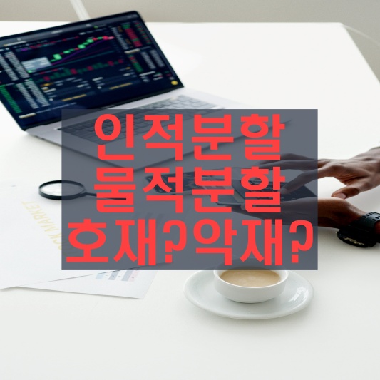 인적분할 물적분할 주식