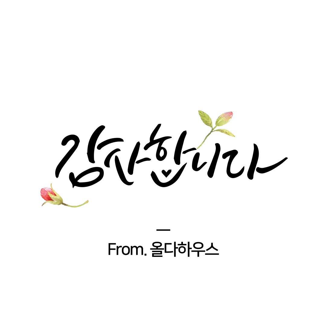 캘리그래피 관련 자료