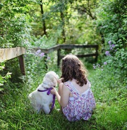 반려동물-소유자와-동물등록제도