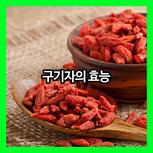 구기자 효능과 부작용 ❘ 진시황도 탐냈던 불로장생의 비밀