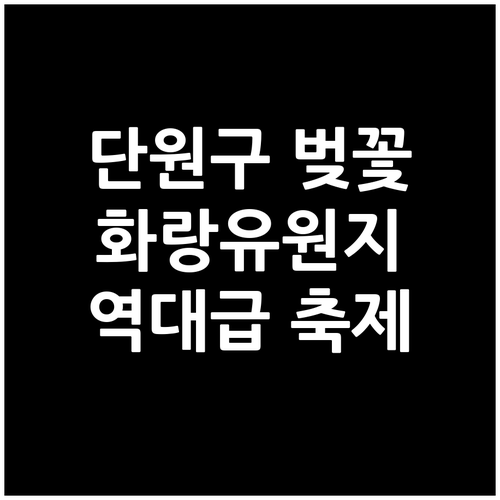 안산 단원구 벚꽃 명소 추천과 화랑유..