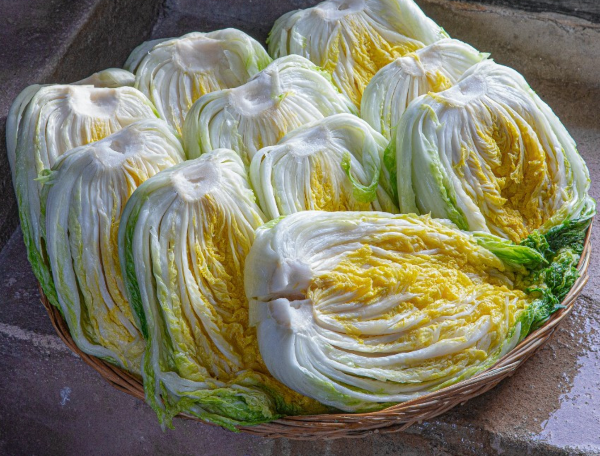 박가네 절임 배추