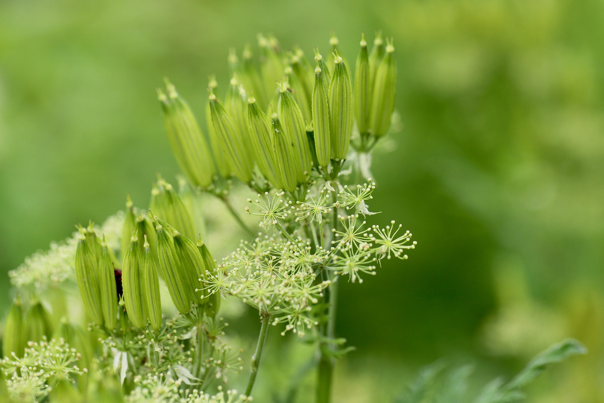 인공 감미료의 숨겨진 부작용 