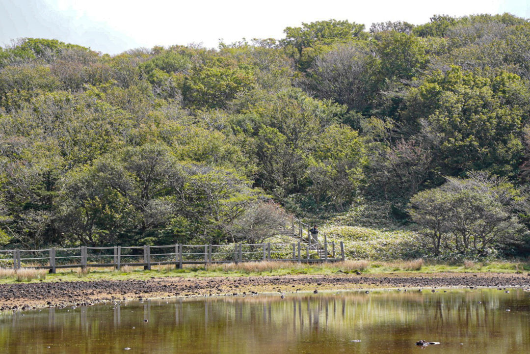 사라오름 전망대 가는길