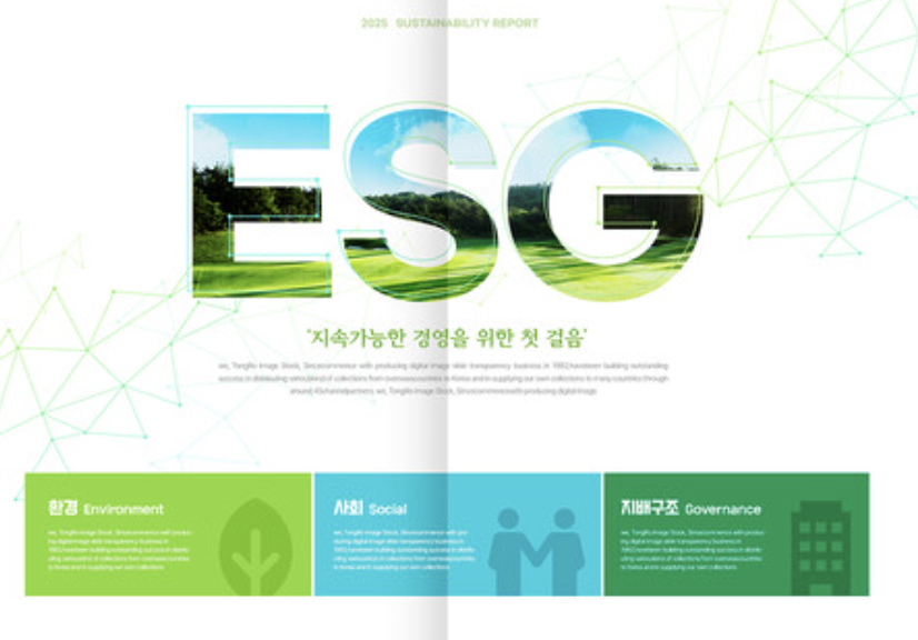 친환경 기업을 위한 정부 지원 혜택 100% 활용법 