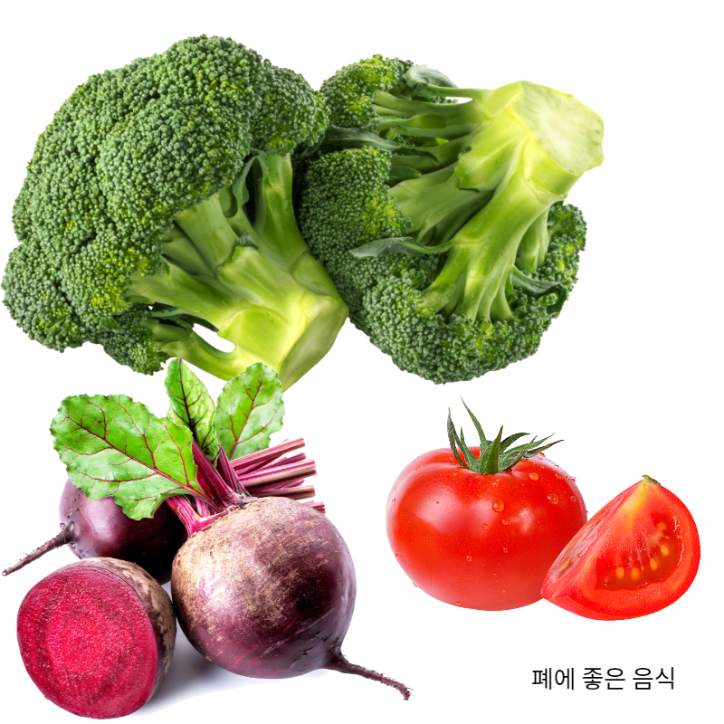 폐에 좋은음식 브로콜리 비트 토마토