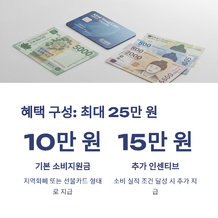 민생회복 소비쿠폰