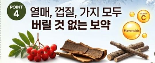 마가목 효능