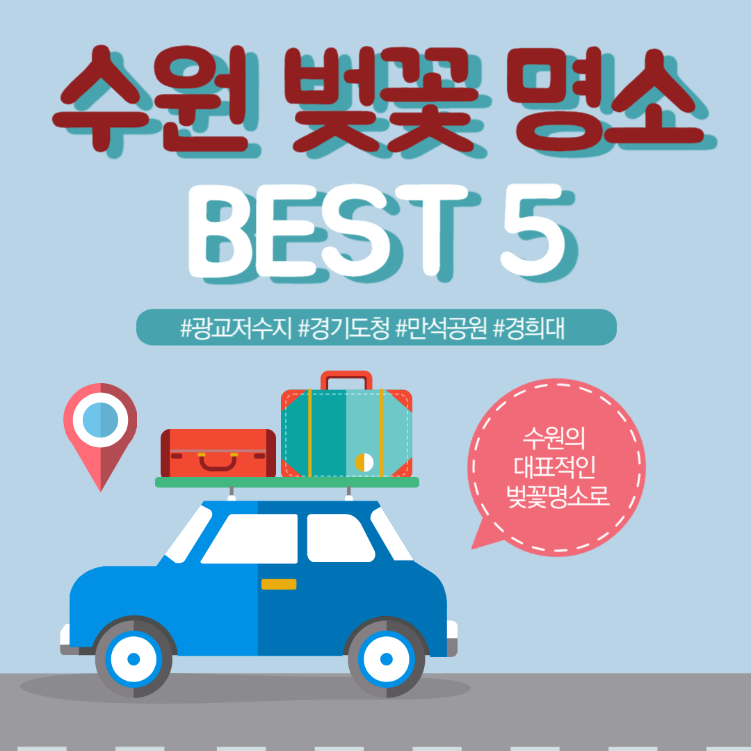 수원 벚꽃명소 BEST 5
